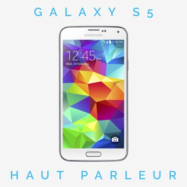 Réparation haut parleur Galaxy S5 (SM-G900)